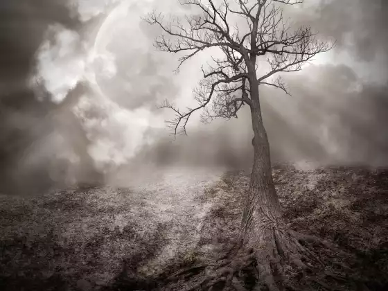 Letting Go of Self-Pity Meditation 4