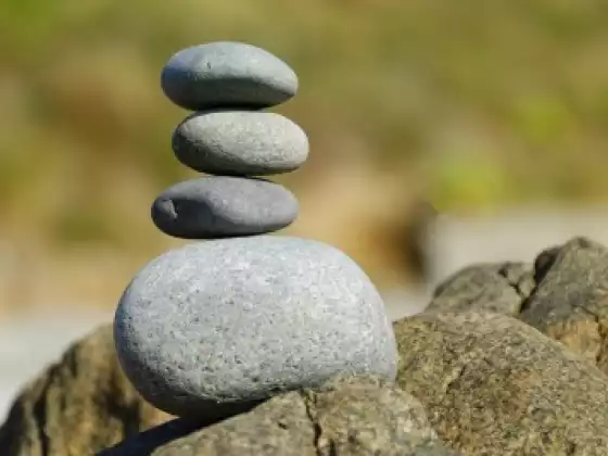 গ্রাউন্ডিং - এখানে থাকার শিল্প - বহুভাষিক
