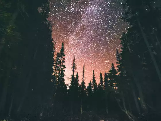 优雅的引导课程：宇宙会考验我们吗？