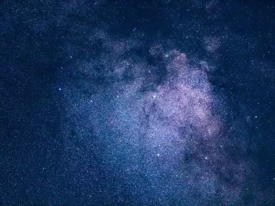 星际种子系列