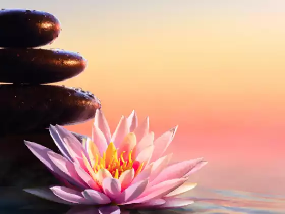 Meditaciones Guiadas y Prácticas de Sanación para un Exitoso Septiembre 2022