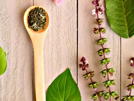Ayurvedic Herbalism Basics