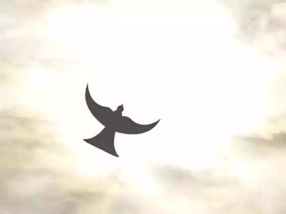 Espiritualidade "O elo perdido no bem-estar mental"