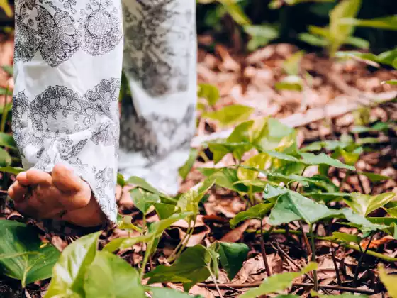 NatureSoul Odyssey: Isang Virtual Ecotherapeutic Walk