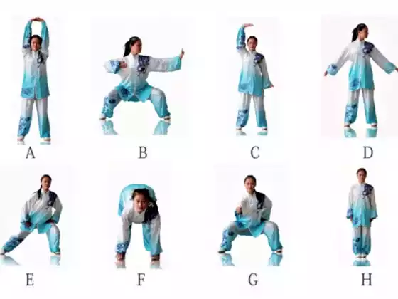 25 menit Qigong 8 Brokat Sutra