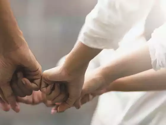 Best Practices for Successful Collaborations