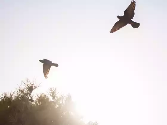 Pagbuo ng Relasyon sa Mga Mahal sa Buhay sa Spirit Series-Autumn 2024-Bahagi 1