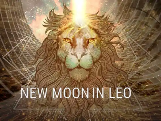 Meditação da Lua Nova em Leão