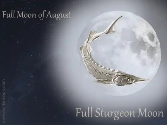 Stör-Super-Vollmond-Meditation