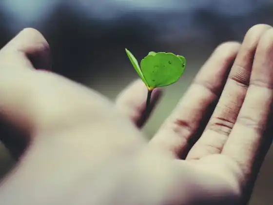 Webinaire 3 sur l'étalonnage de carrière pour un succès en harmonie avec l'âme