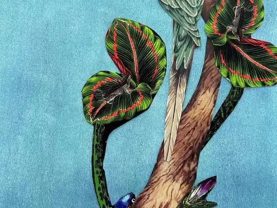كيف تصبح صاحب رؤية وتتخلص من اليأس