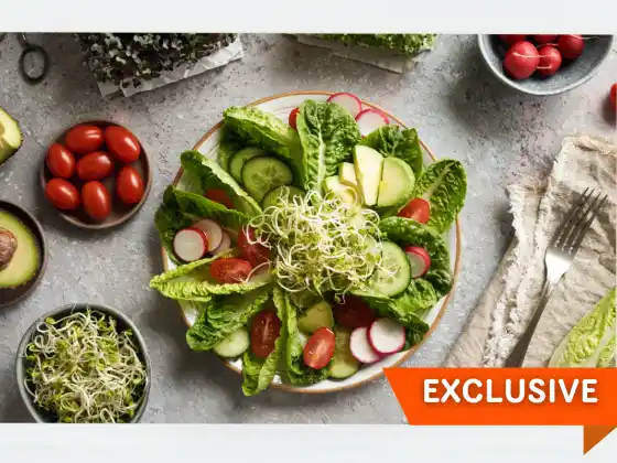 Frühlingsaromen: Kochen mit Saisongemüse und Microgreens