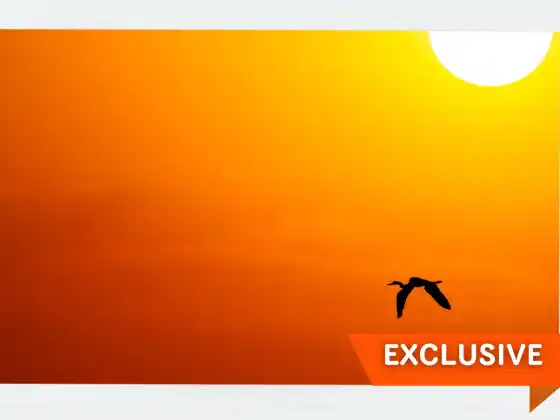 Yaz Gündönümü Kutlaması Kanalizasyon ve Şifa ile