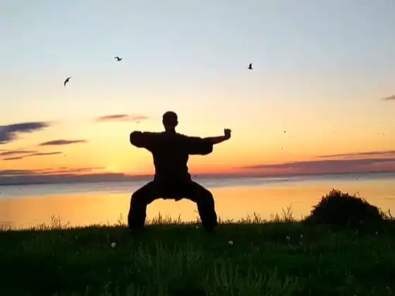 1 jam Qigong dengan 8 Brokat Sutra