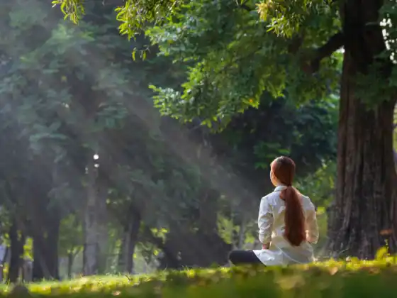 หลักสูตรอบรมเชิงปฏิบัติการเรื่องการแสดงตนอย่างมั่นคง