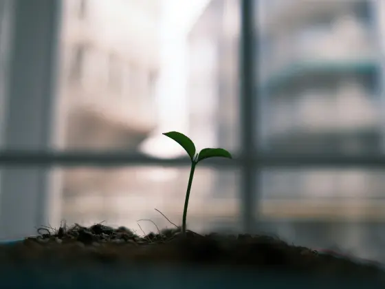 能量療癒如何轉化為實體網路研討會 4