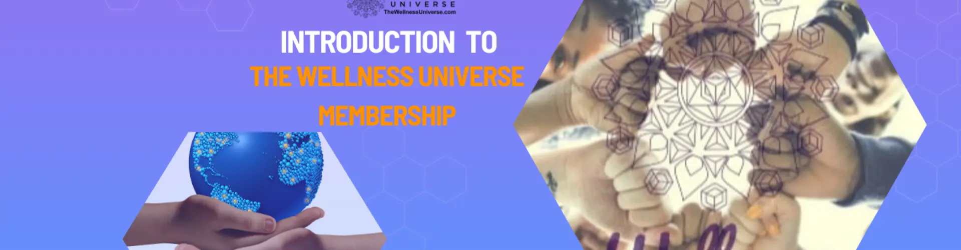 Введение в членство в Wellness Universe — по VIP-приглашению - Online Class by The Wellness Universe