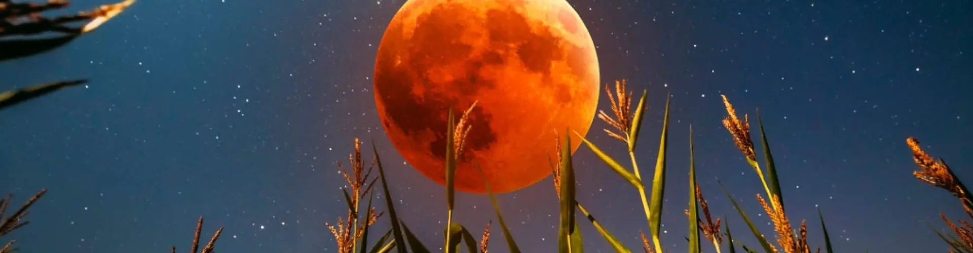 Full Moon Total Lunar Eclipse Meditation  - Online Class by Cassaundra Paolini