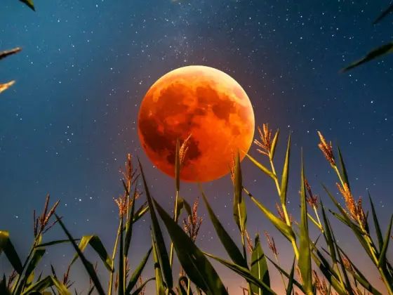 Méditation de pleine lune et d'éclipse lunaire totale