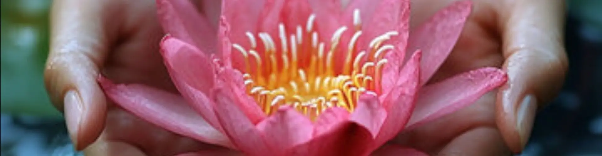 Reiki Seviye 2 Okuden - Online Class by Cassaundra Paolini
