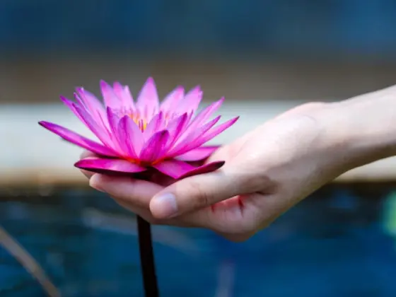 Reiki Livello 1 Shoden