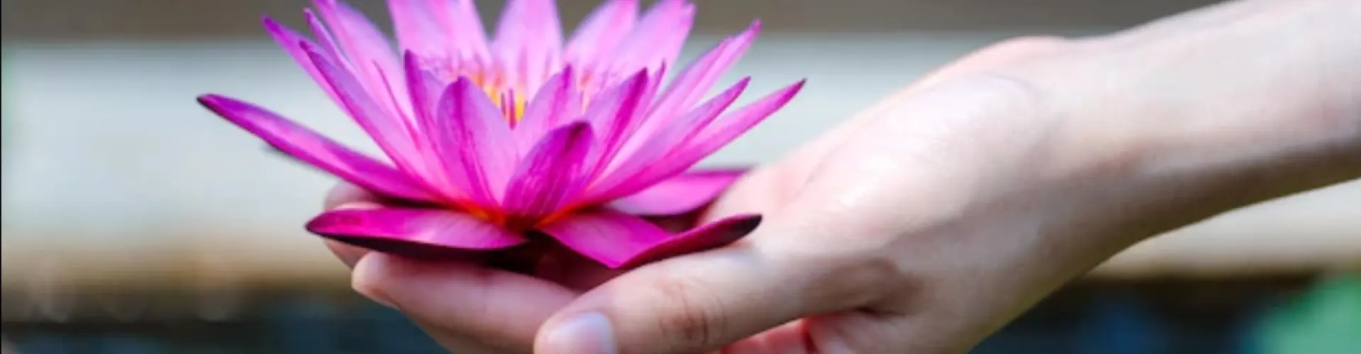 Reiki Livello 1 Shoden - Online Class by Cassaundra Paolini